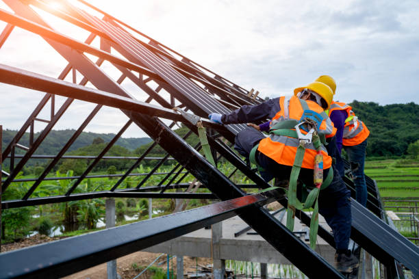 Best Local Roofing Companies  in Capac, MI